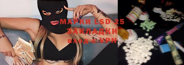 PSILOCYBIN Белоозёрский
