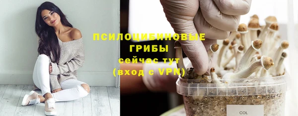 прущая мука Баксан