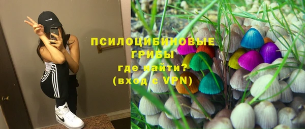 PSILOCYBIN Белоозёрский