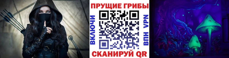 Галлюциногенные грибы Cubensis  Константиновск 